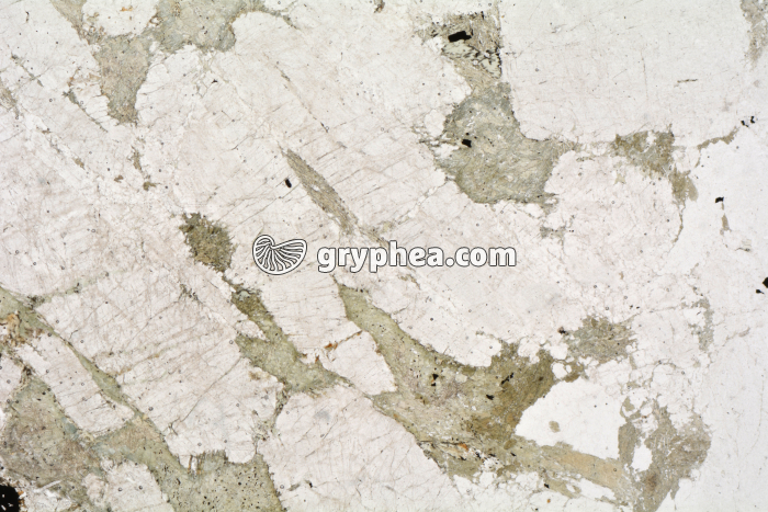 Métagabbro à Hornblende LPNA x3,5 - gryphea.com